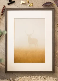 Ram Ares Grey Oak 29,7x42 cm (A3)