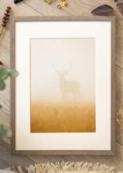 Ram Ares Grå 50x65 cm - Passepartout Vit 15x22 inches
