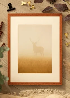 Ram Ares Körsbär 20x25 cm - Passepartout Vit 14x18 cm