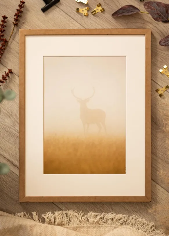 Ram Ares Mässing 20x30 cm - Passepartout Vit 15x22 cm