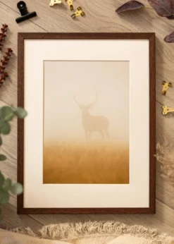 Ram Ares Teak 20x30 cm - Passepartout Vit 10x21 cm