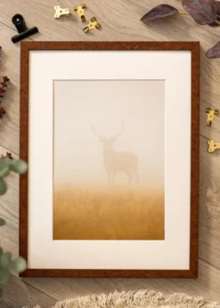 Ram Ares Valnöt 30x40 cm - Passepartout Vit 20x30 cm