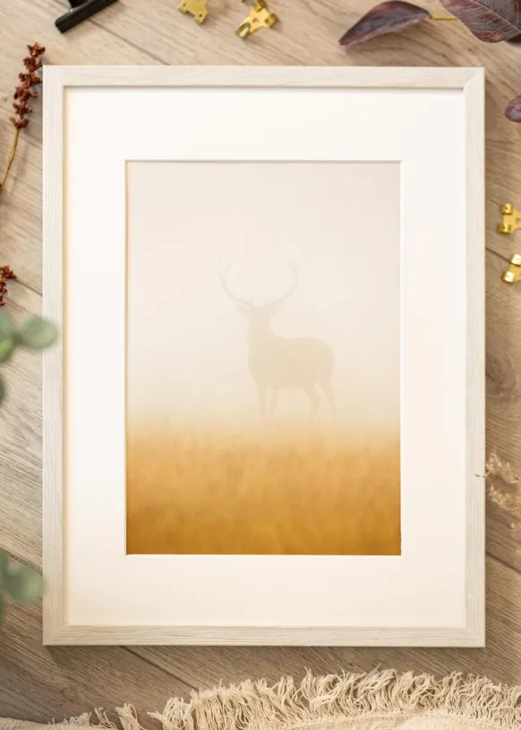 Ram Ares Vit Ek 45x60 cm - Passepartout Vit 34x48 cm