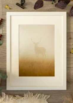 Ram BGA Classic Vit 60x60 cm - Passepartout Vit 20x20 inches