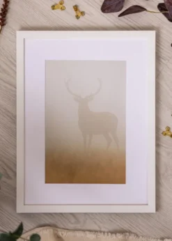 Ram Brooke Vit 29,7x42 cm (A3)