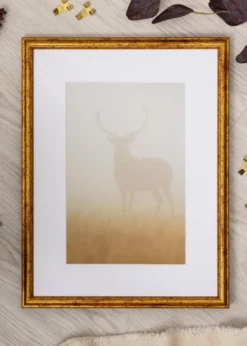 Ram Claudia Guld 30x40 cm