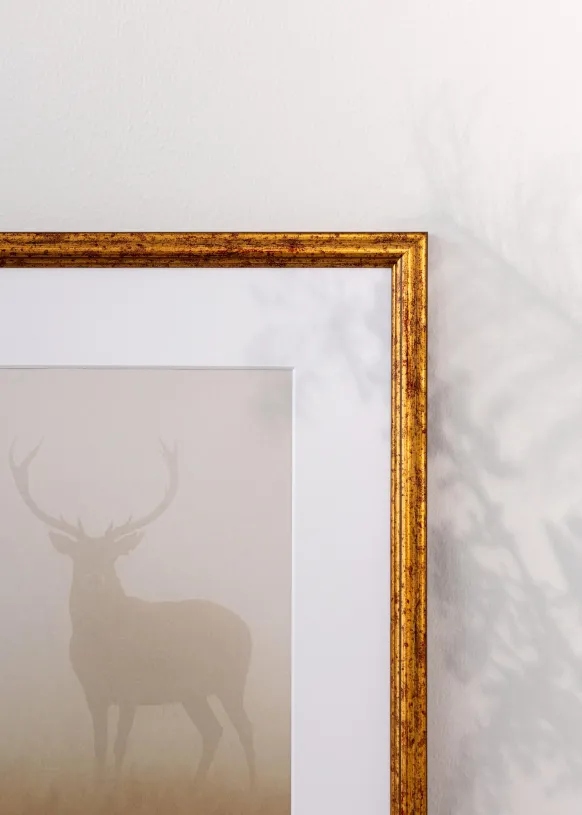 Ram Claudia Guld 40x50 cm