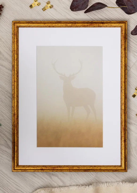 Ram Claudia Guld 40x50 cm