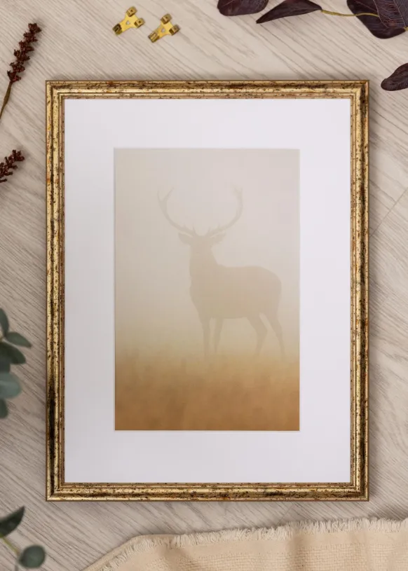Ram Claudia Silver 59,4x84,1 cm (A1)