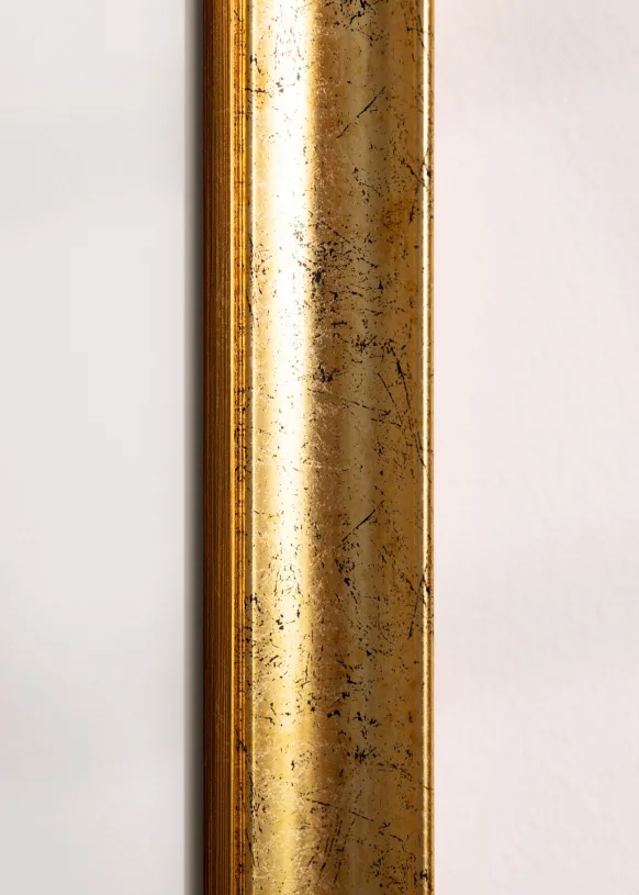 Ram Conca Guld 50x70 cm