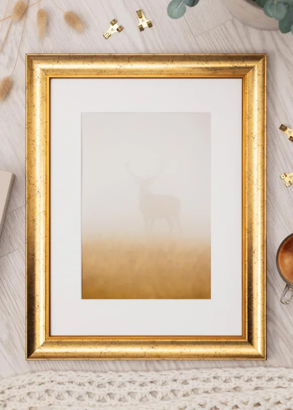 Ram Conca Guld 50x70 cm