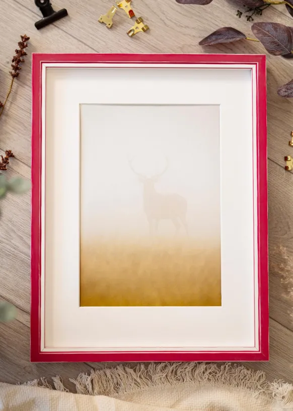 Ram Diana Röd 50x70 cm - Passepartout Vit 39x60 cm