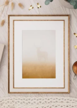 Ram Dolly Guld 30x45 cm