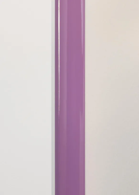 Ram Dorset Rosa 50x70 cm