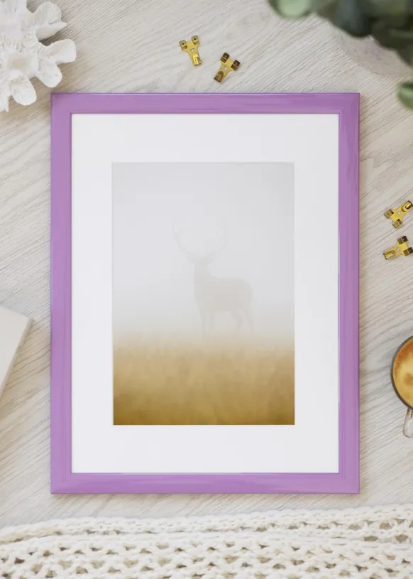 Ram Dorset Rosa 50x70 cm