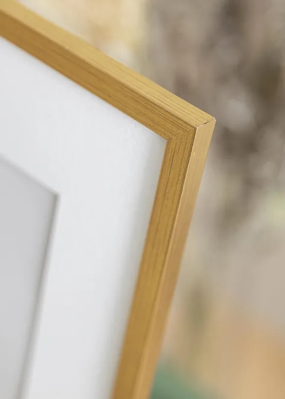 Ram Edsbyn Guld 30x45 cm