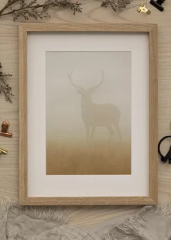 Ram Ek Trä 35x90 cm - Passepartout Vit 25x75 cm