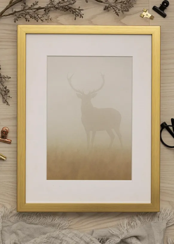 Ram Falun Guld 24x30 cm - Passepartout Vit 7x9 inches