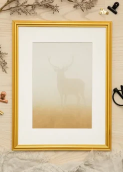 Ram Frigg Glas Guld 30x40 cm