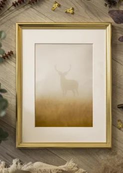 Ram Gala Guld 70x100 cm
