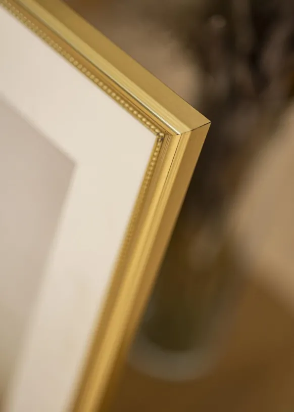 Ram Gala Guld 10x15 cm