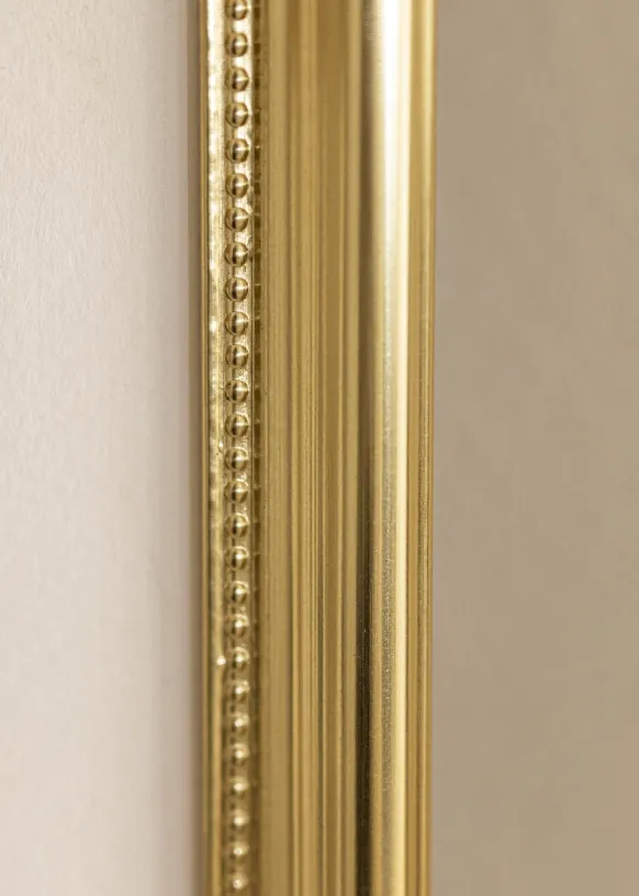 Ram Gala Guld 40x50 cm