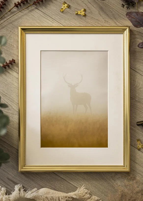 Ram Gala Guld 70x100 cm - Passepartout Vit 62x93 cm