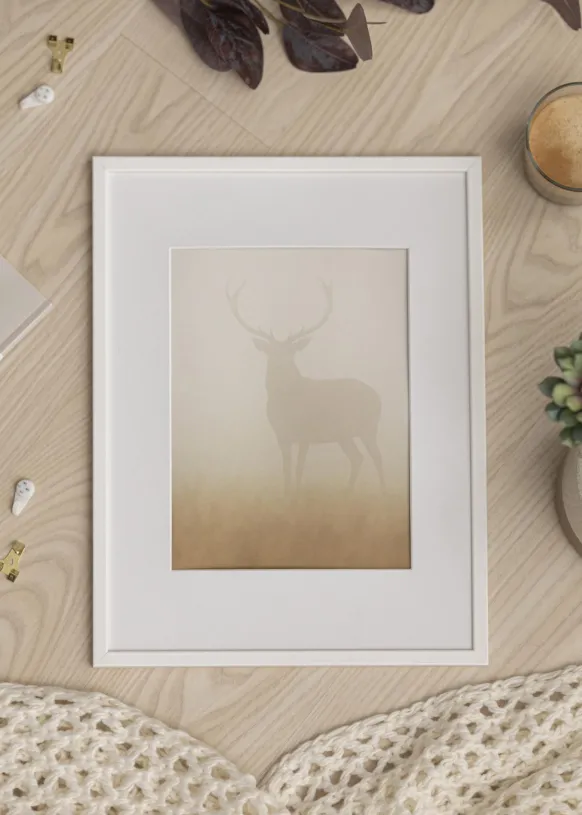 Ram Galant Vit 50x60 cm