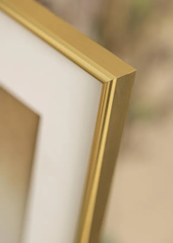 Ram Galeria Glas Guld 21x29,7 cm (A4)
