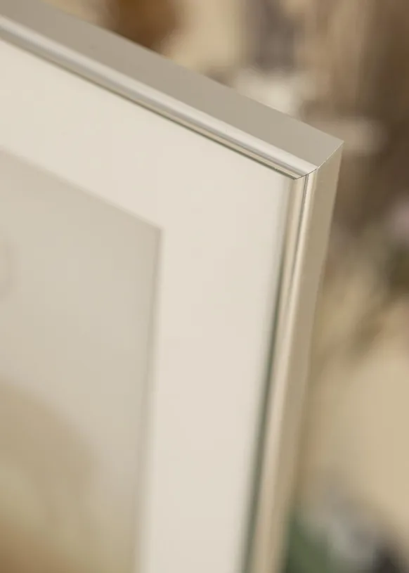 Ram Galeria Glas Silver 60x90 cm