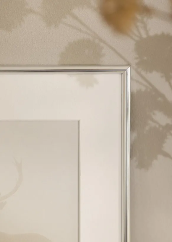 Ram Galeria Glas Silver 60x90 cm