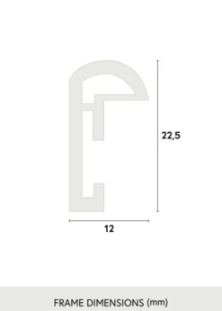 Ram Galeria Glas Silver 60x90 cm