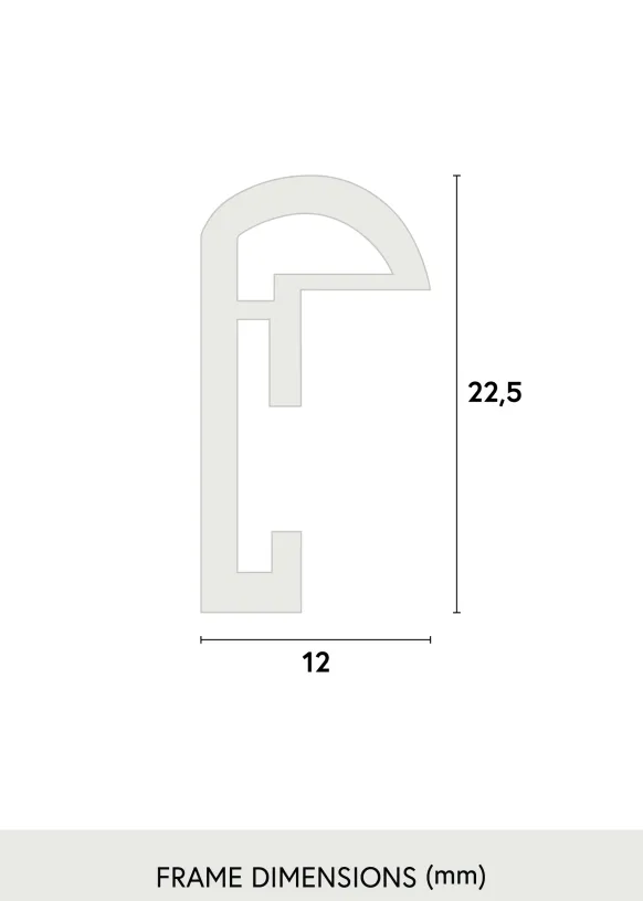 Ram Galeria Glas Silver 60x90 cm