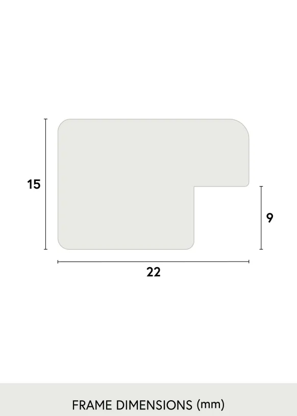Ram Glas Brown Wood 40x80 cm