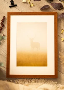Ram Hermes Bok 60x80 cm