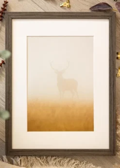 Ram Hermes Grey Oak 20x30 cm