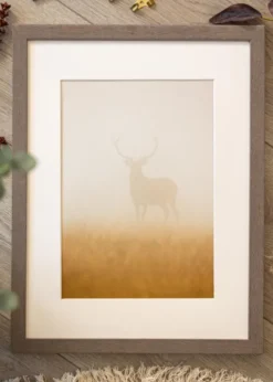 Ram Hermes Grå 45x60 cm - Passepartout Vit 35x48 cm