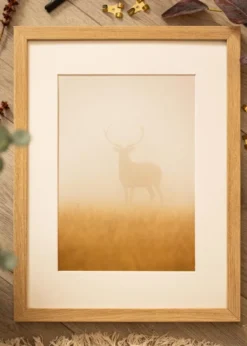Ram Hermes Naturlig Ek 50x70 cm - Passepartout Vit 42x59,4 cm
