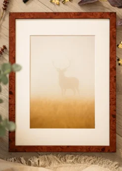Ram Hermes Valnöt 30x30 cm - Passepartout Vit 20x20 cm