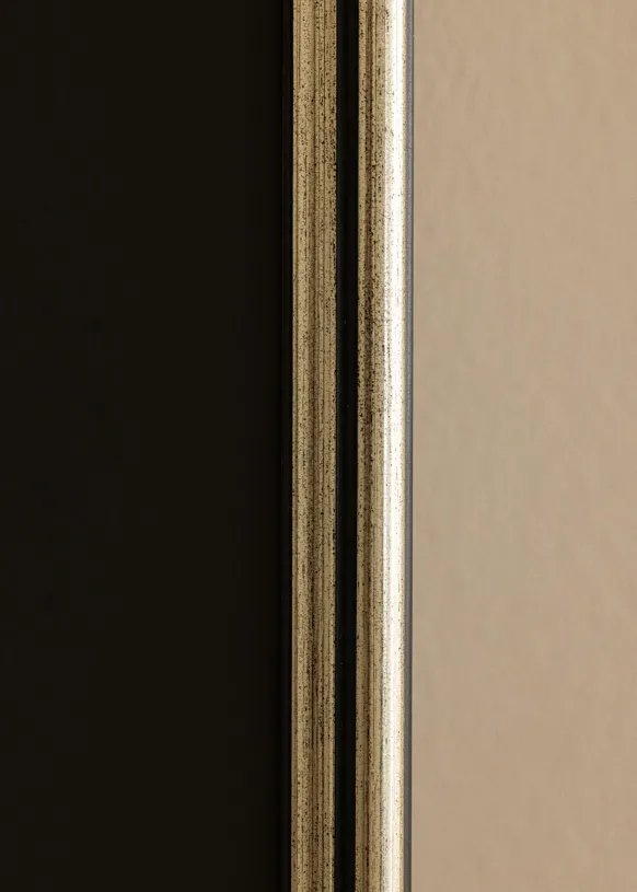 Ram Horndal Silver 20x30 cm - Passepartout Svart 15x22 cm