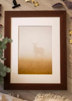 Ram Juno Teak 40x50 cm - Passepartout Vit 28x35 cm