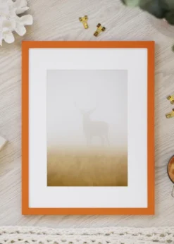 Ram Kent Orange 30x40 cm - Passepartout Vit 18x27 cm