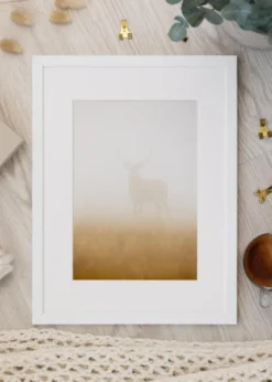 Ram Lofsdalen Vit 40x60 cm