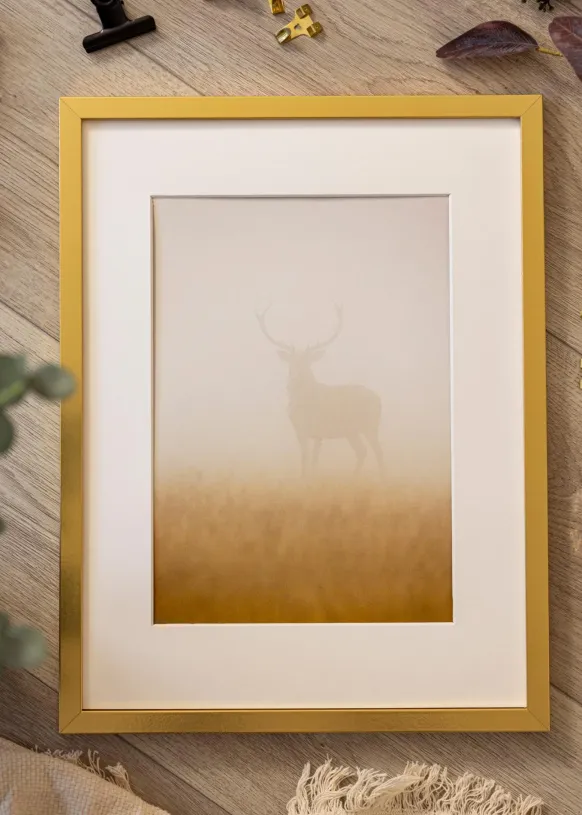 Ram Minerva Guld 50x65 cm
