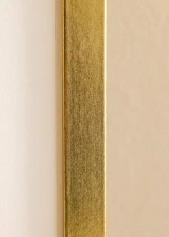 Ram Minerva Guld 50x60 cm - Passepartout Vit 35x45 cm