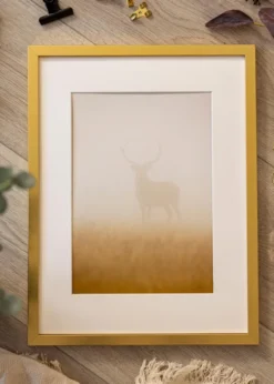 Ram Minerva Guld 50x60 cm - Passepartout Vit 35x45 cm