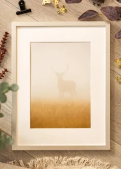 Ram Minerva Silver 40x60 cm - Passepartout Vit 25x50 cm