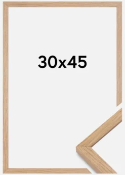 Ram Montgomery Matt Antireflexglas Ek 30x45 cm