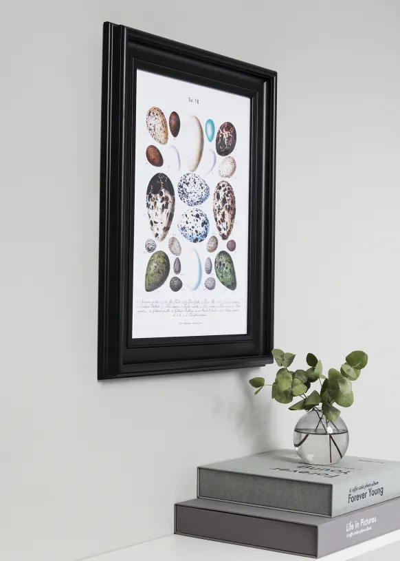 Ram Mora Premium Glas Svart 50x60 cm