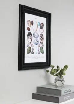 Ram Mora Premium Glas Svart 60x90 cm